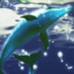 Logo of Dolphin Moonlight Trial android Application 